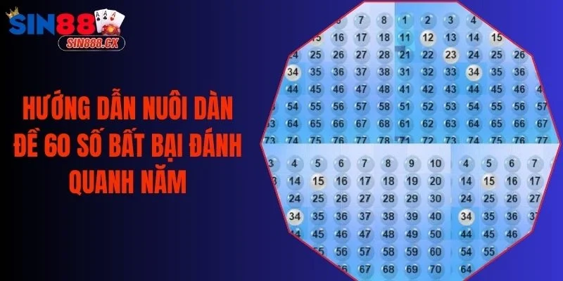 Hướng Dẫn Nuôi Dàn Đề 60 Số Bất Bại Đánh Quanh Năm