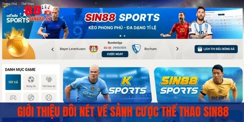 Giới thiệu đôi nét về sảnh cược thể thao SIN88