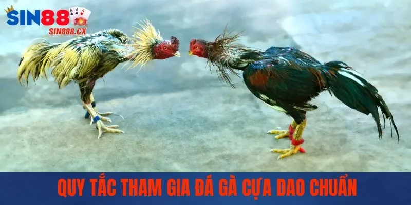 Đá Gà Cựa Dao - Sức Hấp Dẫn Từ Những Trận Đấu Nảy Lửa 2 Quy tắc tham gia đá gà cựa dao chuẩn