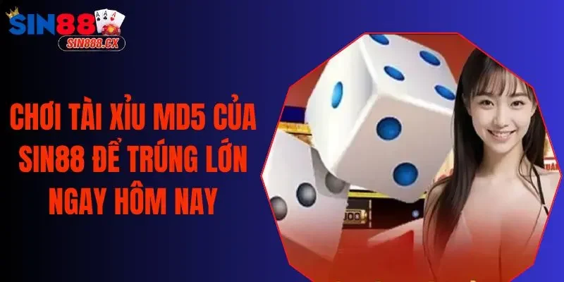 Chơi Tài Xỉu MD5 Của SIN88 Để Trúng Lớn Ngay Hôm Nay